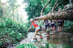 BIB: 
                            <button type="button" onclick="openModal(25456174)" class="btn btn-primary btn-sm float-right btn-popup" data-toggle="modal" data-target=".modal-high-quality">
                        <i class="fas fa-shopping-cart"></i> Add to Cart
                    </button>
                                            <button type="button" onclick="isThisMe(25456174, true)" class="btn btn-success btn-sm float-right btn-popup btn-isme hidden" data-toggle="tooltip" data-placement="bottom" title="นี่คือรูปของคุณใช่ไหม คลิกที่นี่เพื่อเอาเข้าอัลบั้ม">
                        <i class="fas fa-plus"></i> Add to album
                    </button>
                    <button type="button" onclick="isThisMe(25456174, false)" class="btn btn-warning btn-sm float-right btn-popup btn-isnotme hidden">
                        <i class="fas fa-ban"></i> Remove from album
                    </button>